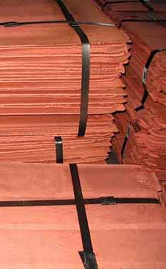 Services